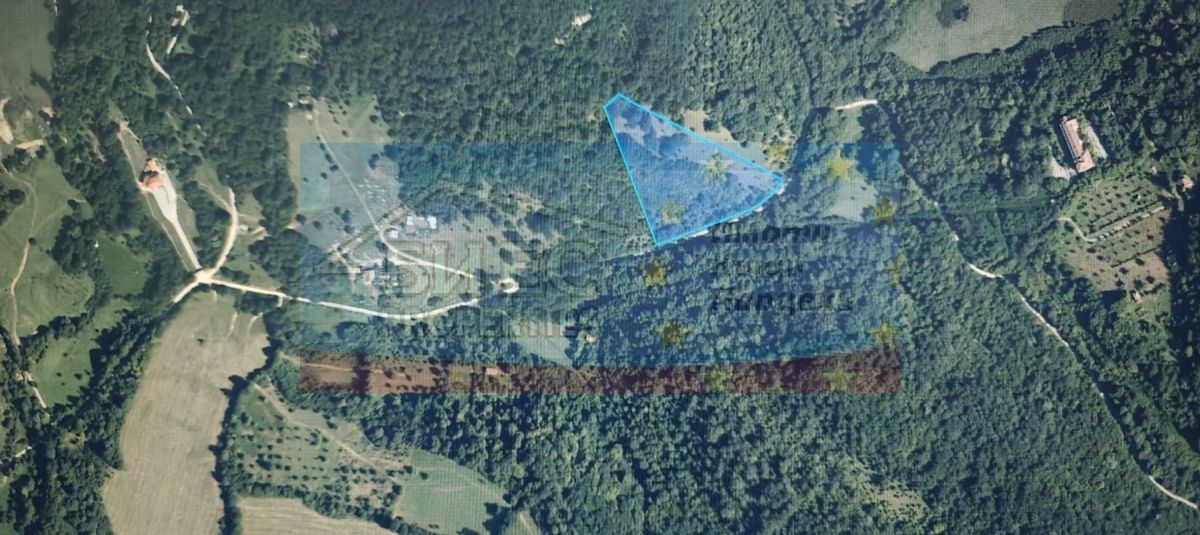 Земеделски имот в с. Рибарица, Област София-област -  кв.м за 135 €/дка - Снимка #1