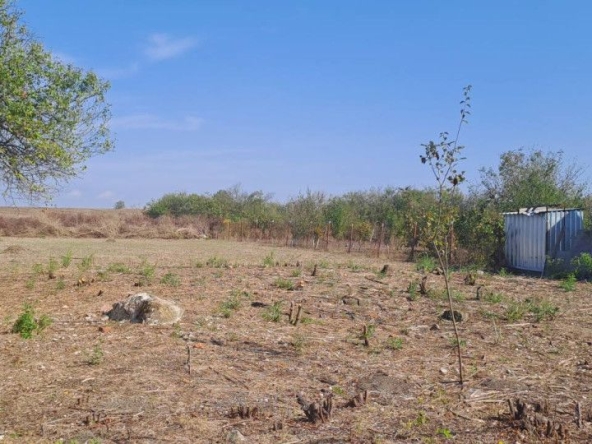 Парцел в с. Полски извор, Област Бургас - 920 кв.м за 25 €/кв.м - Снимка #1