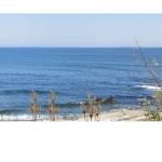 Парцел в Ахтопол - 4562 кв.м за 120 €/кв.м - Снимка #1