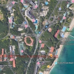 Парцел в к.к. Златни пясъци - 7000 кв.м за 40 €/кв.м - Снимка #1