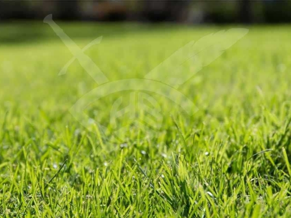 Парцел в с. Войводиново, Област Пловдив - 3000 кв.м за 36 €/кв.м - Снимка #1