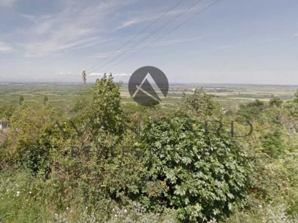 Парцел в с. Брестник, Област Пловдив - 638 кв.м за 82 €/кв.м - Снимка #1