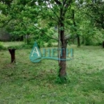 Парцел в Сливница - 1039 кв.м за 64 €/кв.м - Снимка #1