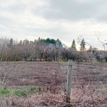 Парцел в с. Пчелник, Област Варна - 1000 кв.м за 18 €/кв.м - Снимка #1