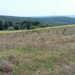 Парцел в с. Китка, Област Варна - 698 кв.м за 31 €/кв.м - Снимка #1