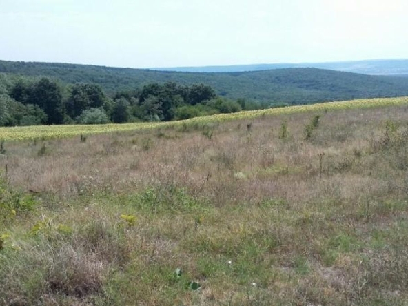 Парцел в с. Китка, Област Варна - 698 кв.м за 31 €/кв.м - Снимка #1