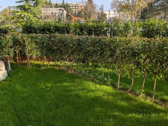 Двустаен апартамент в к.к. Св.Св. Константин и Елена - 66 кв.м за 3910 €/кв.м - Снимка #1