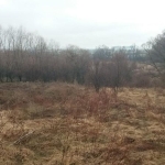 Парцел в София, Филиповци - 1300 кв.м за 11 €/кв.м - Снимка #1