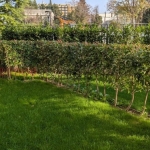 Двустаен апартамент в к.к. Св.Св. Константин и Елена - 66 кв.м за 1994 €/кв.м - Снимка #1