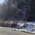 Парцел в Рудозем - 962 кв.м за 6 €/кв.м - Снимка #1