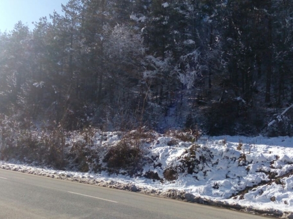 Парцел в Рудозем - 962 кв.м за 6 €/кв.м - Снимка #1