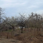 Парцел в с. Брестник, Област Пловдив - 424 кв.м за 43 €/кв.м - Снимка #1