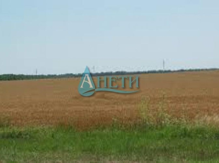 Парцел в с. Мировяне, Област София-град - 3021 кв.м за 30 €/кв.м - Снимка #1