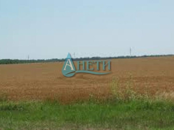 Парцел в с. Мировяне, Област София-град - 3021 кв.м за 15 €/кв.м - Снимка #1