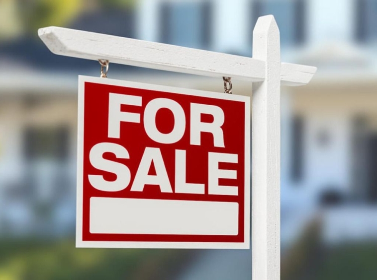 Парцел в с. Осеново, Област Варна - 5000 кв.м за 0 €/кв.м - Снимка #1