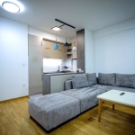 Дава се под наем Тристаен апартамент в София, Света Троица - 110 кв.м за 561 € - Снимка #1