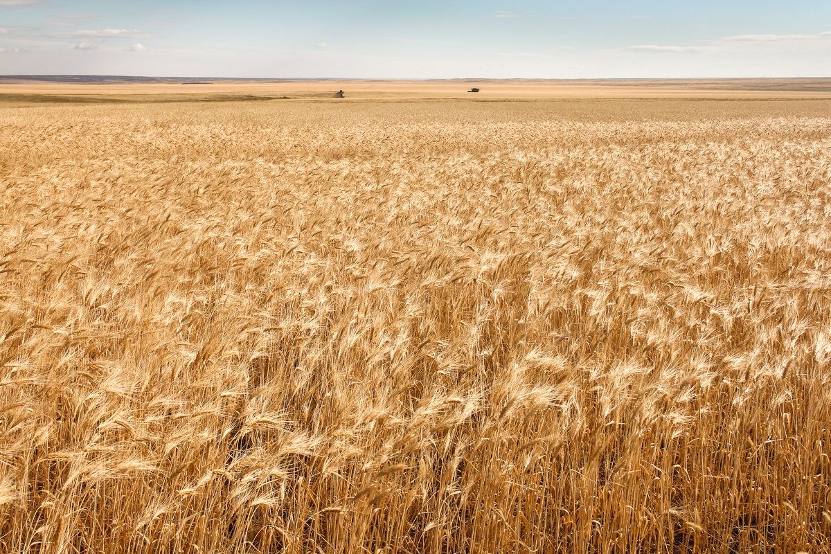 Земеделски имот в с. Люляково, Област Добрич -  кв.м за 1143 €/дка - Снимка #1