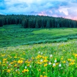 Къща в Разград, Възраждане - 1800 кв.м за 255 €/кв.м - Снимка #1