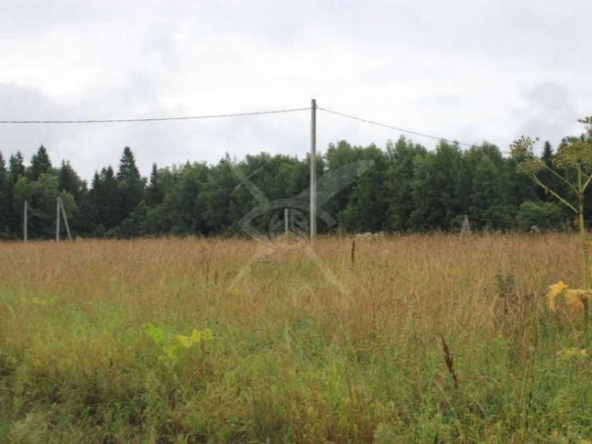 Парцел в с. Цалапица, Област Пловдив - 4500 кв.м за 7 €/кв.м - Снимка #1