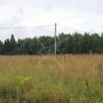 Парцел в с. Цалапица, Област Пловдив - 4500 кв.м за 23 €/кв.м - Снимка #1