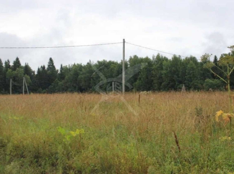 Парцел в с. Цалапица, Област Пловдив - 4500 кв.м за 23 €/кв.м - Снимка #1