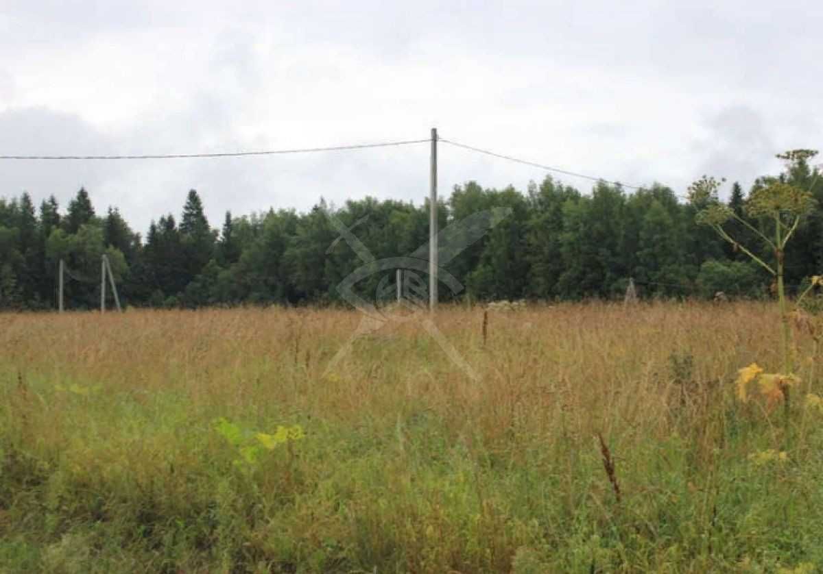 Парцел в с. Цалапица, Област Пловдив - 4500 кв.м за 23 €/кв.м - Снимка #1