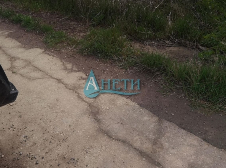 Парцел в с. Подгумер, Област София-град - 6506 кв.м за 100 €/кв.м - Снимка #1