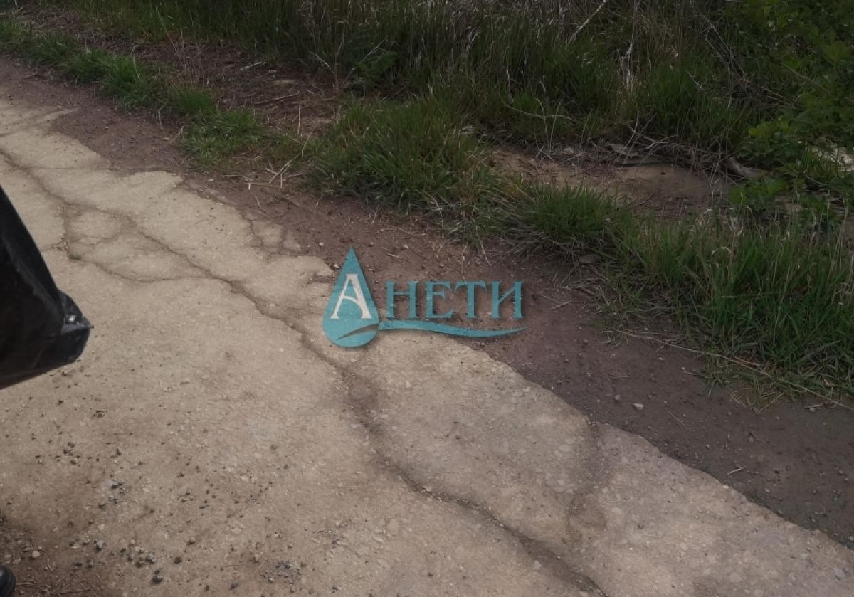 Парцел в с. Подгумер, Област София-град - 6506 кв.м за 100 €/кв.м - Снимка #1