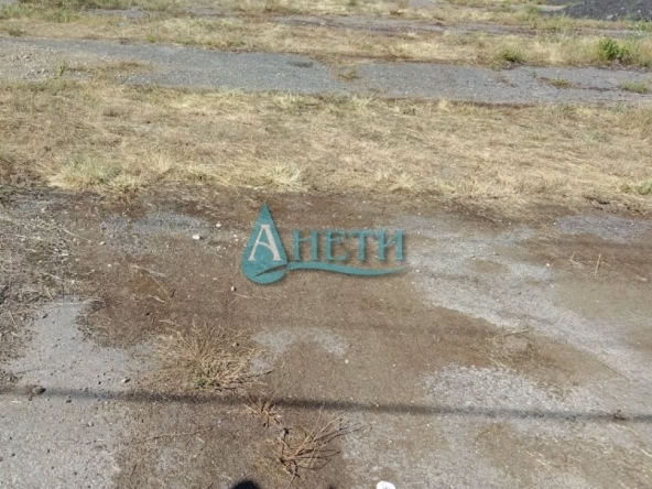 Парцел в с. Подгумер, Област София-град - 6506 кв.м за 51 €/кв.м - Снимка #1