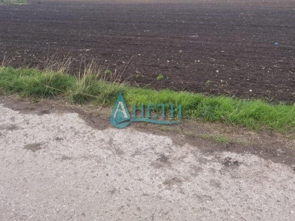 Парцел в с. Равно поле, Област София-област - 4400 кв.м за 55 €/кв.м - Снимка #1