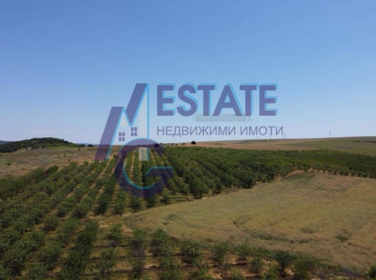 Заведение в с. Дрянковец, Област Бургас - 95784 кв.м за 1 €/кв.м - Снимка #1