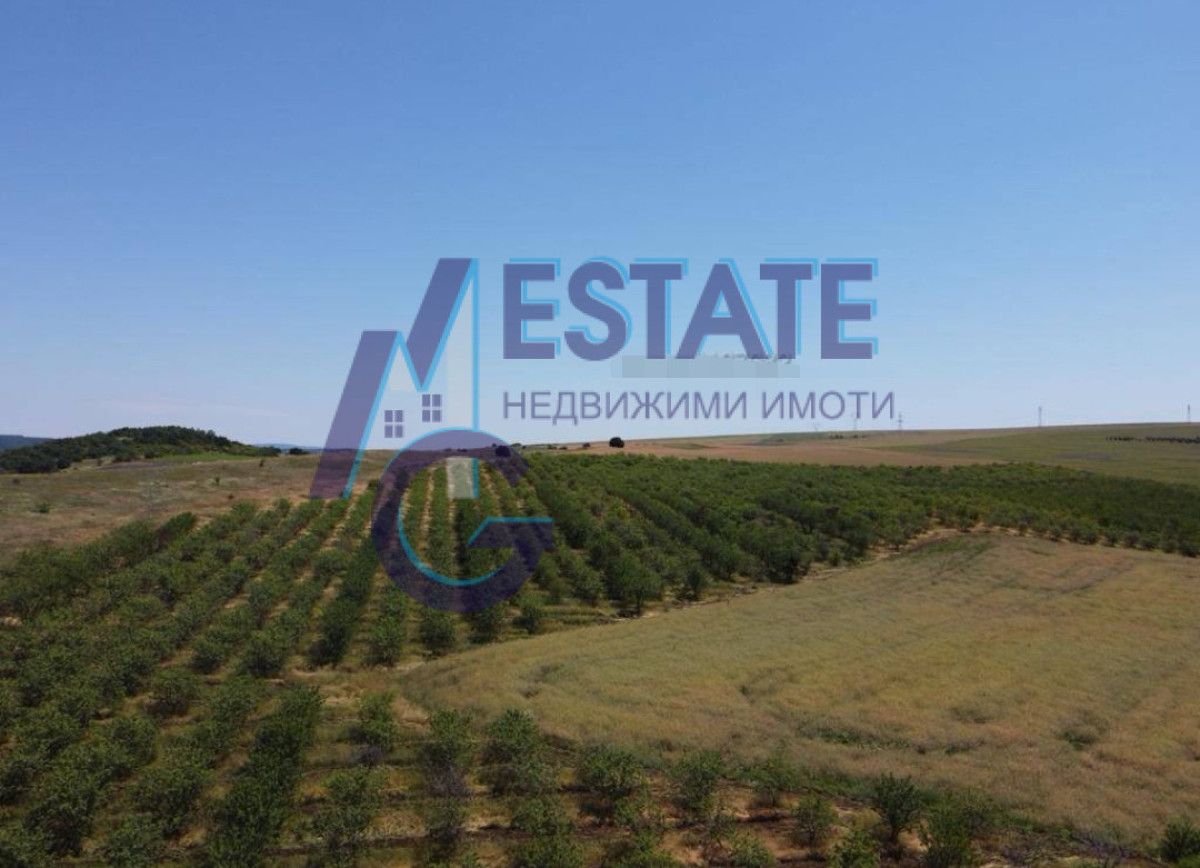 Заведение в с. Дрянковец, Област Бургас - 95784 кв.м за 1 €/кв.м - Снимка #1