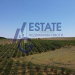 Заведение в с. Дрянковец, Област Бургас - 95784 кв.м за 1 €/кв.м - Снимка #1