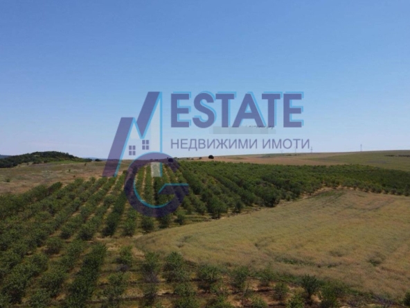 Заведение в с. Дрянковец, Област Бургас - 95784 кв.м за 2 €/кв.м - Снимка #1