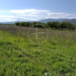 Парцел в с. Белащица, Област Пловдив - 626 кв.м за 79 €/кв.м - Снимка #1