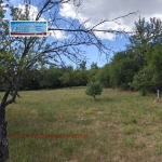 Парцел в с. Прибой, Област Перник - 1563 кв.м за 12 €/кв.м - Снимка #1