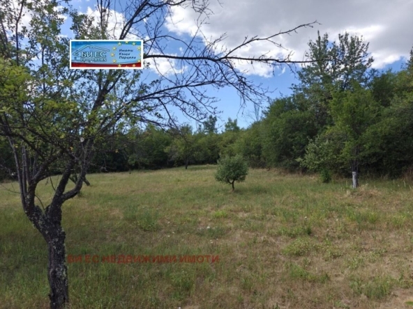 Парцел в с. Прибой, Област Перник - 1563 кв.м за 12 €/кв.м - Снимка #1