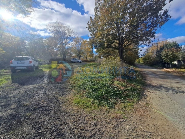 Парцел в с. Велика, Област Бургас - 600 кв.м за 95 €/кв.м - Снимка #1