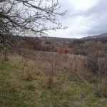 Парцел в с. Еловдол, Област Перник - 2322 кв.м за 2 €/кв.м - Снимка #1