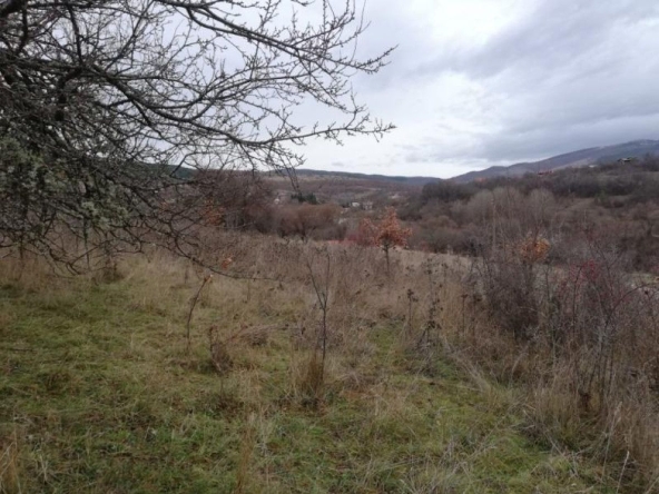 Парцел в с. Еловдол, Област Перник - 2322 кв.м за 2 €/кв.м - Снимка #1