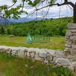 Парцел в с. Подгорие, Област София-област - 2024 кв.м за 25 €/кв.м - Снимка #1