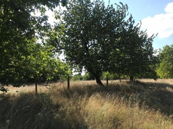 Парцел в с. Искър, Област Варна - 3215 кв.м за 4 €/кв.м - Снимка #1