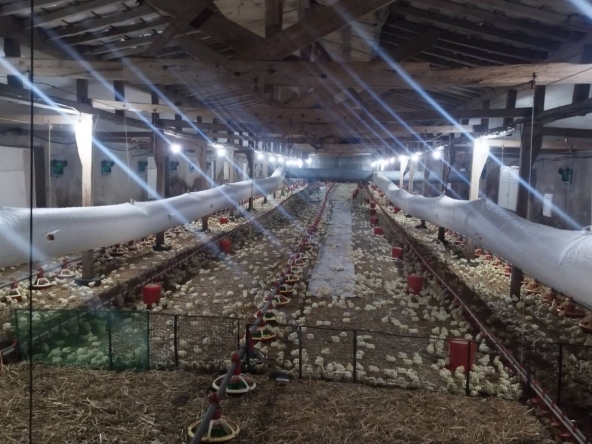 Промишлена сграда в Търговище, Въбел - 1200 кв.м за 289 €/кв.м - Снимка #1