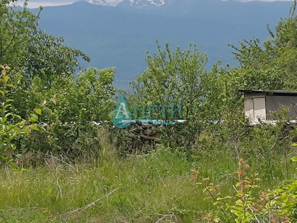 Парцел в с. Горна Василица, Област София-област - 805 кв.м за 44 €/кв.м - Снимка #1