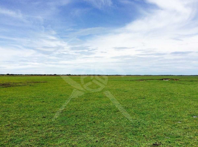 Парцел в Пловдив, Захарна фабрика - 28799 кв.м за 35 €/кв.м - Снимка #1