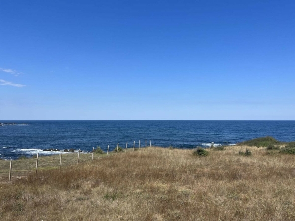 Земеделски имот в с. Варвара, Област Бургас -  кв.м за 20000 €/дка - Снимка #1