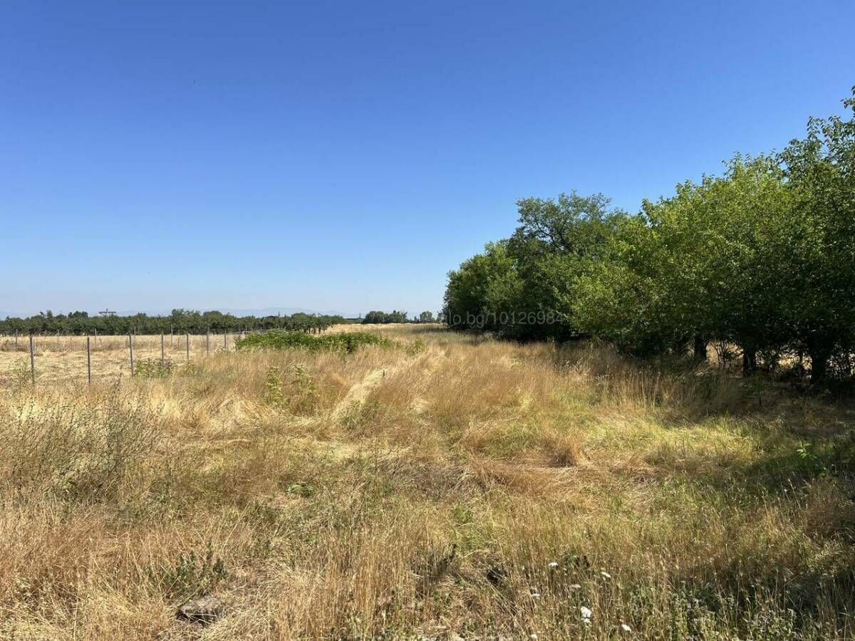 Парцел в с. Цалапица, Област Пловдив - 3181 кв.м за 20 €/кв.м - Снимка #1