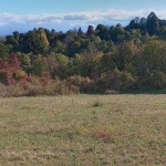 Парцел в Ябланица - 1635 кв.м за 9 €/кв.м - Снимка #1