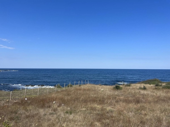 Земеделски имот в с. Варвара, Област Бургас -  кв.м за 30600 €/дка - Снимка #1