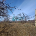 Парцел в с. Елешница, Област София-област - 5132 кв.м за 23 €/кв.м - Снимка #1